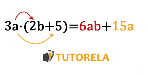 Example 3- Distributive property with variables