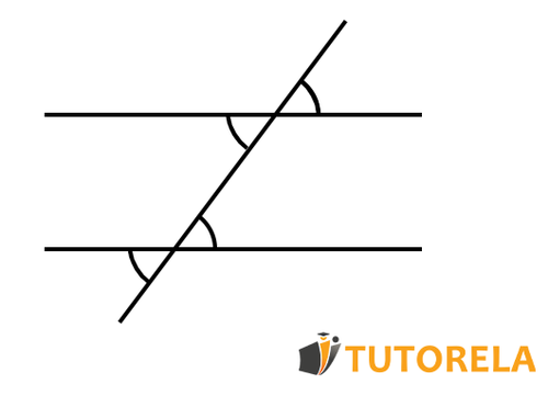angles opposite the vertex