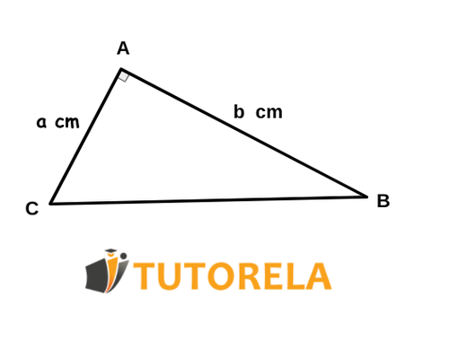 Ejercicio 4 Dada la figura del triángulo