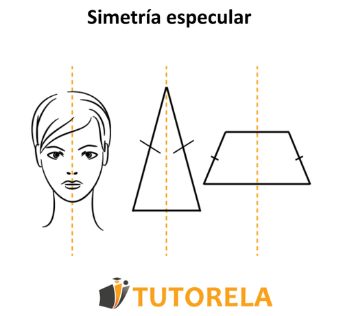 Simetría especular