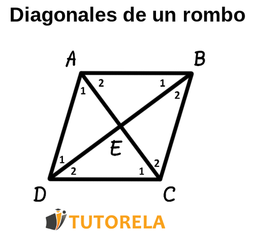 1-2 Diagonales de un rombo