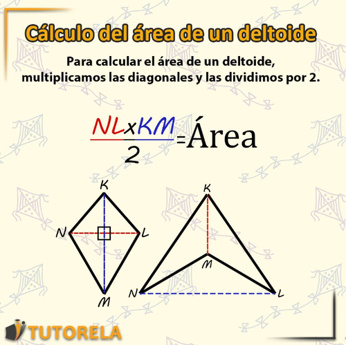 4 Un breve resumen visual sobre el artículo del deltoide 4