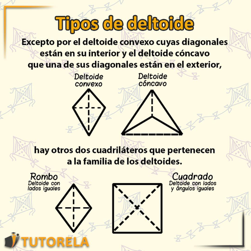 Un breve resumen visual sobre el artículo del deltoide 1