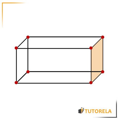 The vertices are those that join the edges of the orthohedron
