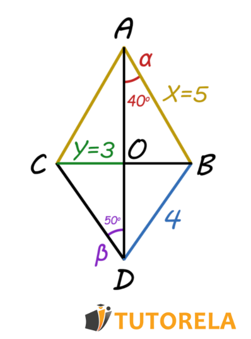 explicacion deltoide