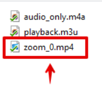 When you open the folder, an MP4 video file appears, select it to upload it to the platform
